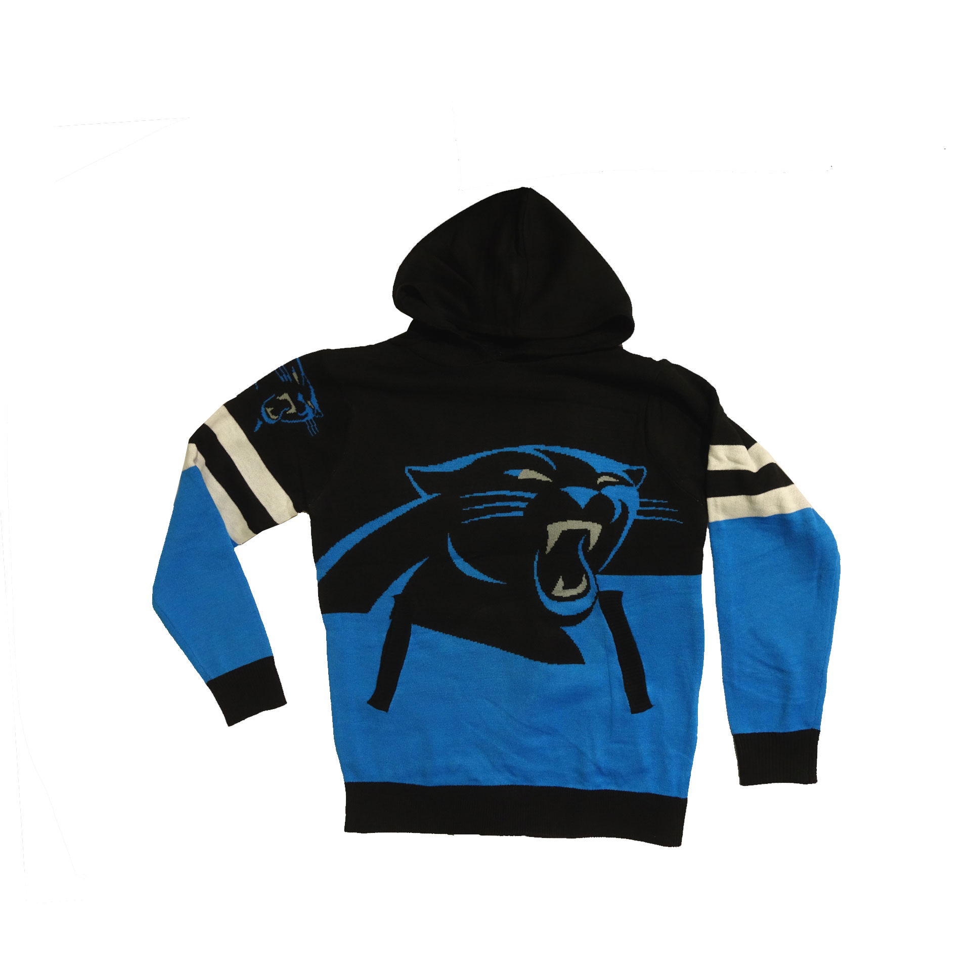 NFL Kapuzenpullover Carolina Panthers