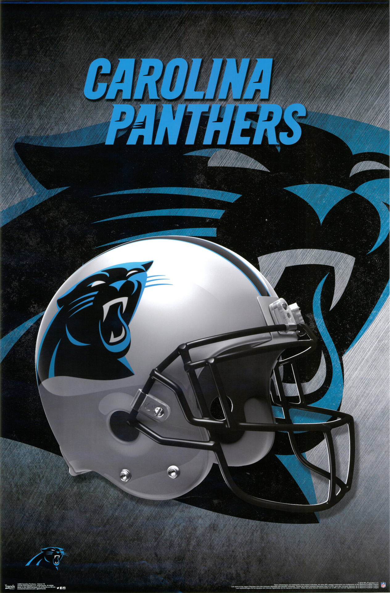 Poster Carolina Panthers NFL Football Team Helm